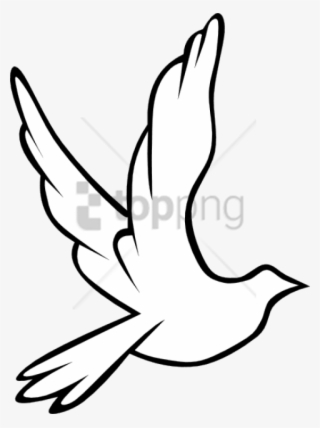 Free Png Download Black And White Flying Birds Png - Turtle Dove Drawing #9248383
