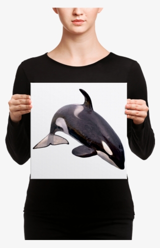 Killer-whale Canvas - Canvas #9248604
