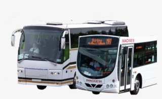 Contact Information - Tour Bus Service #9248646