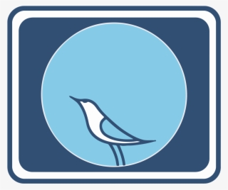 Evening Birds Communications Llp #9249485