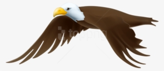 Free Png Download Eagle Transparent Png Images Background - Bald Eagle #9249526