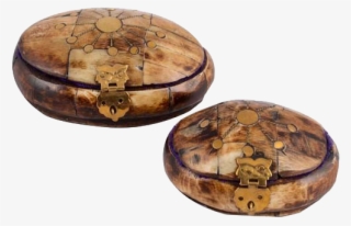 Oval Shape Bone Box #9249858