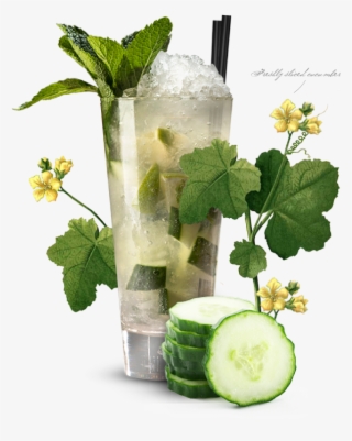 The Blighty Mojito - Mojito #9251201