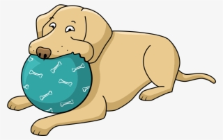 1163 X 874 5 - Dibujos De Perritos Labrador Kawaii #9251527