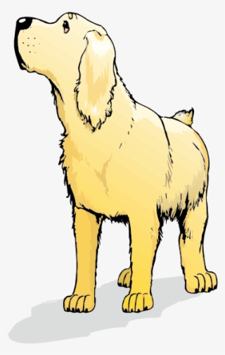 842 X 596 5 - Ancient Dog Breeds #9251565