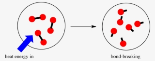 Reactivity Thermodynamics - Endothermic Bond Breaking #9251806