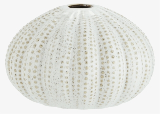 Off White Sea Urchin Vase - Ceiling Fixture #9251853