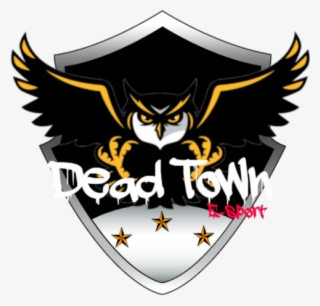 51 Team's Logo - Kennesaw State Owl Logo #9252691