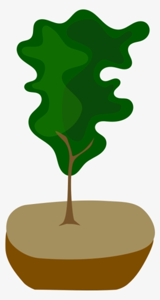 Tree In Pot - Bonsai #9252696
