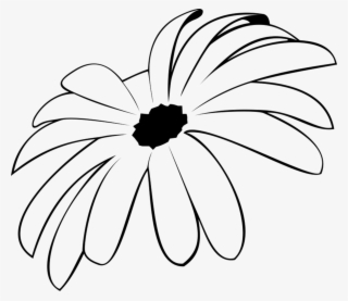 Spider Mum Rubber Stamp - Chamomile #9253892