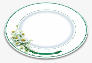 Herbal Motif Plate Chamomile - Plate #9254050