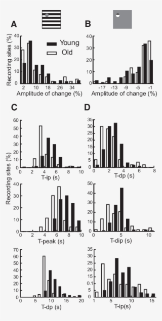 Histograms Are Presented Of Amplitude And Temporal - Diagram #9254470