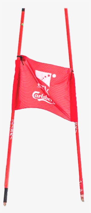 Member Of The National Team For Alpine Skiing Image - Carmine #9255769