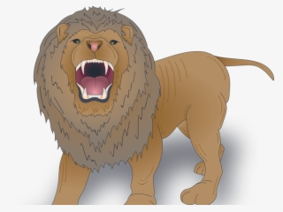 Lion #9255809