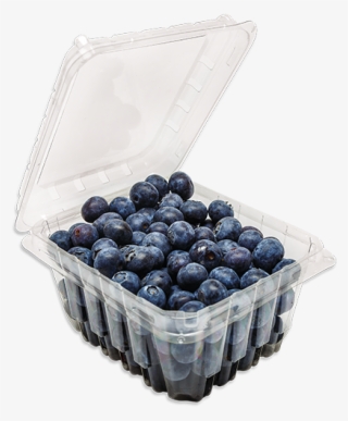 Hinged Blueberry Container - Bilberry #9255812