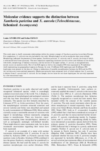 Pdf - Folio Eleven From Burchard Of Sion's De Locis Ac Mirabilibus #9256337 Pdf - Folio Eleven From Burchard Of Sion's De Locis Ac Mirabilibus #9256337