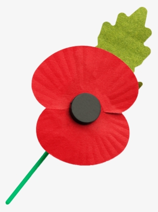 Go To Image - Poppy #9257407