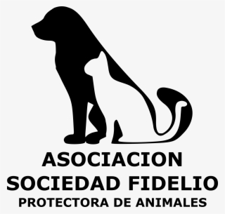 Logofidelio - Top Of Business 2014 #9258056