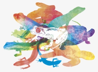 Compo Animales-1024x724 - Animal Figure #9258114