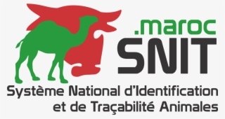 Maroc Was Launched To The Public In February 2015 To #9258179