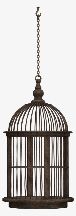 Bird Cage On A Chain - Bird Cage Silhouette Png #9259068 Bird Cage On A Chain - Bird Cage Silhouette Png #9259068