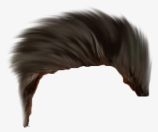 Hear Png ➤ Download - Horse #9259100