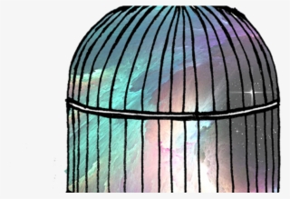 Spacecage-1020x510 - Circle #9259246 Spacecage-1020x510 - Circle #9259246