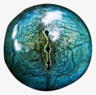 Transparent Snake Eye Made By Totally Transparent - Snake Eye Close Up #9259377