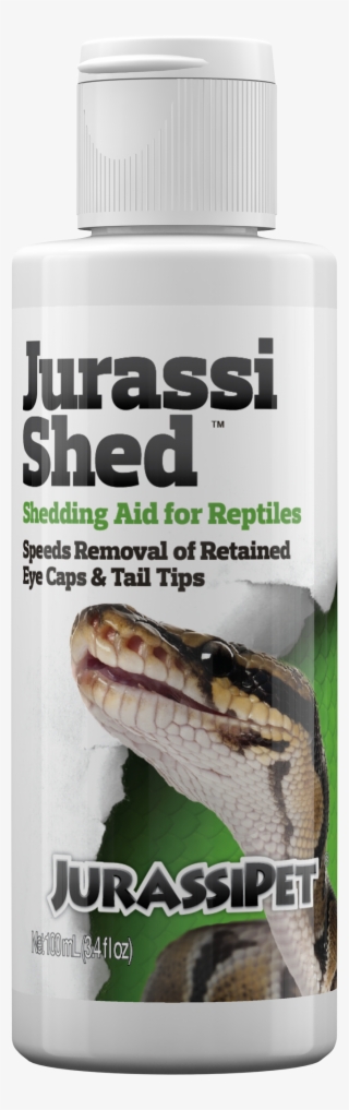 Download - Burmese Python #9259552