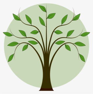 Folhas De Arvore Png - Arbol Con Ramas Y Hojas #9259608