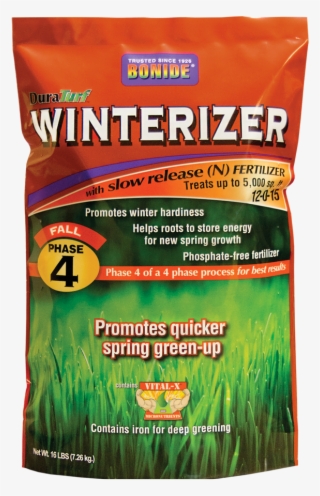 All 20% Off - Plant #9260051