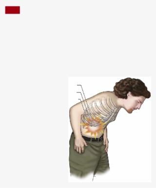 Previous Page - Sitting #9261175