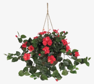 Hanging Plant #9261562