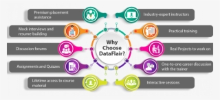 Why Choose Dataflair 01 - Circle #9262532