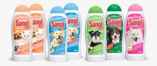 Shampoo - Dog #9262533