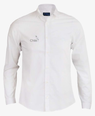 Camisa-bordado - Shirt #9263213