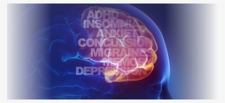 A New Frontier In Brain Health - Illustration #9264095