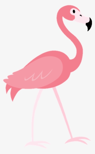 Lacey Allen - Imagenes De Un Flamingo #9265091