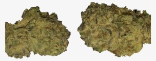 Candyland Review, Sativa Dominant By Jimmyinspazzz - Rock #9265919