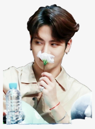 Report Abuse - Jackson Wang #9270562