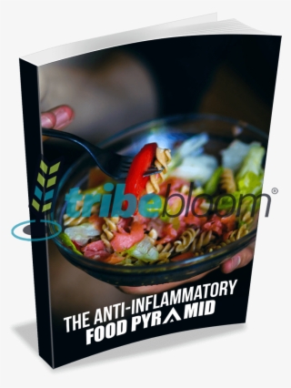 Anti-inflammatory Food Pyramid Report - Dieting #9272007