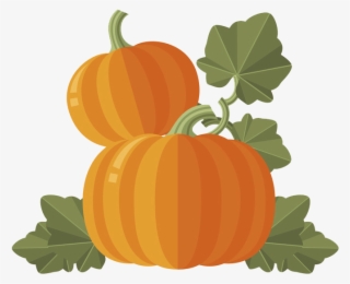 Calabaza Cucurbita Maxima Gourd Winter Squash With - Pumpkin With Leaves Png #9272833