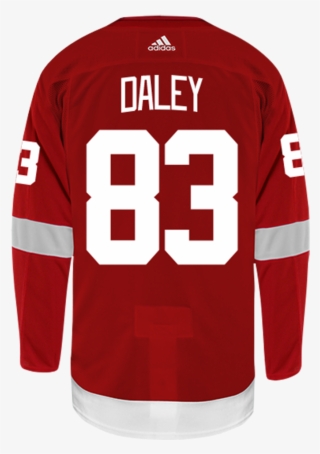 Product - Pro Football Hall Of Fame #9274634