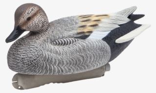 Floating Gadwall Drake Duck Hunting Decoy From Final - Mallard #9278124