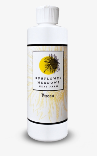 Yucca - Camomile #9278761