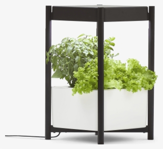 Miracle-gro® Twelve™ Indoor Growing System - Tree #9278793