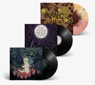 Bundles - Circle #9278805