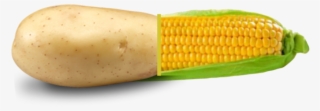Expectedouija - Corn On The Cob #9280249