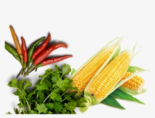 Bg Web Mobile Bottom - Corn On The Cob #9280369