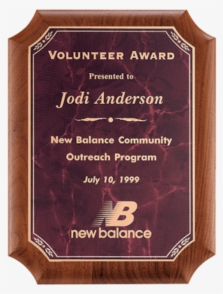 Closeout Specials - Volunteer Plaque #9280622
